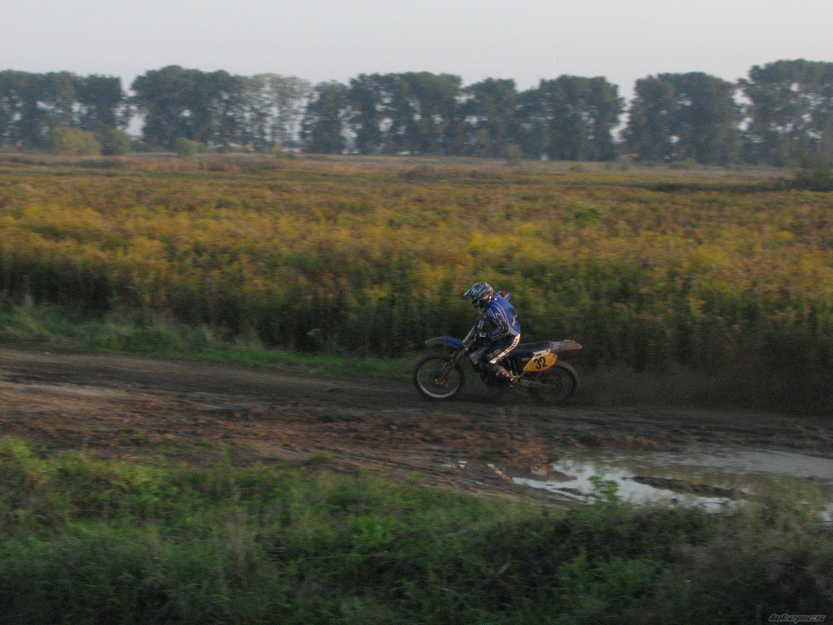 2003 YAMAHA YZ 450F | Picture 1486086 motorcycle photo