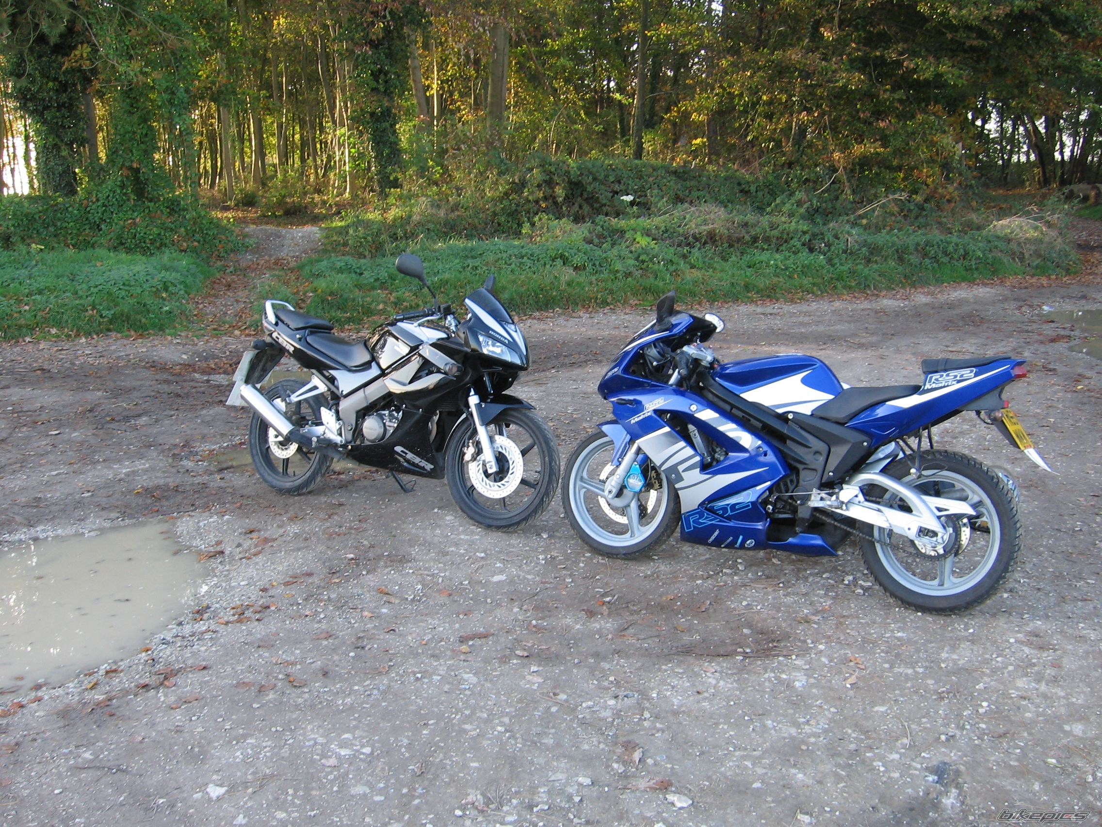 2003 RIEJU RS2 MATRIX | Picture 1486246 motorcycle photo