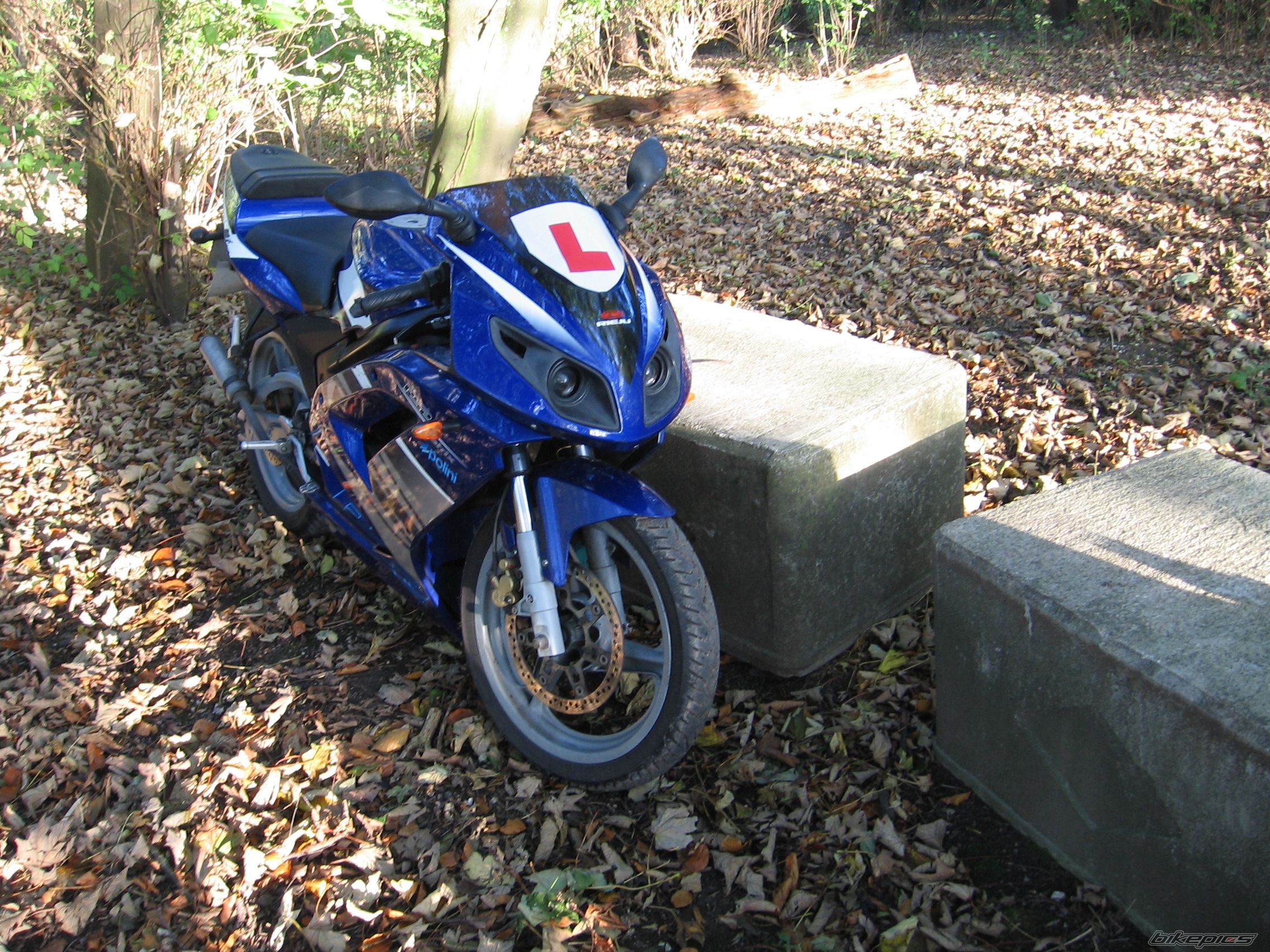 2003 RIEJU RS2 MATRIX | Picture 1486264 motorcycle photo