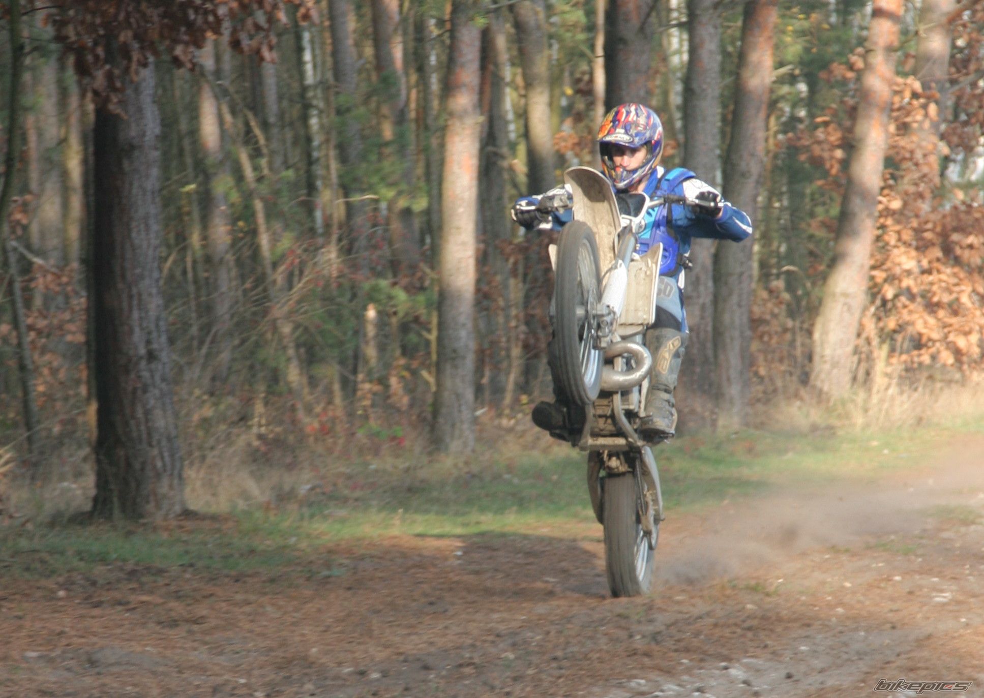 2006 YAMAHA YZ 250 | Picture 1486317 motorcycle photo