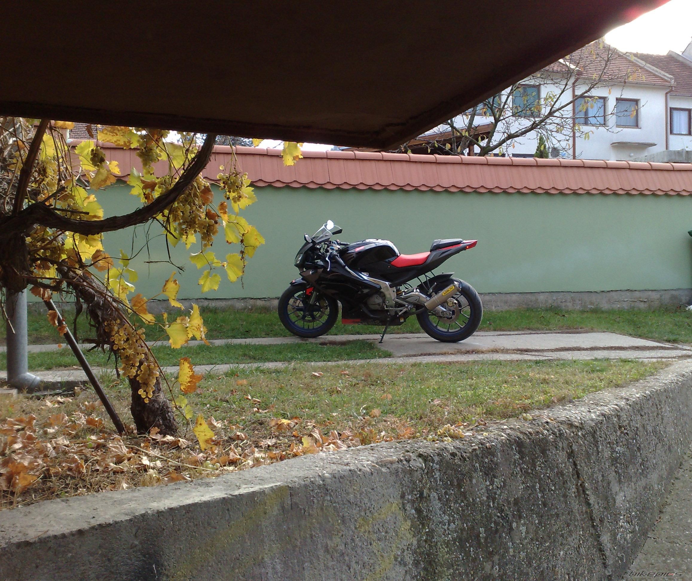 2007 APRILIA RS 125 | Picture 1486922 motorcycle photo