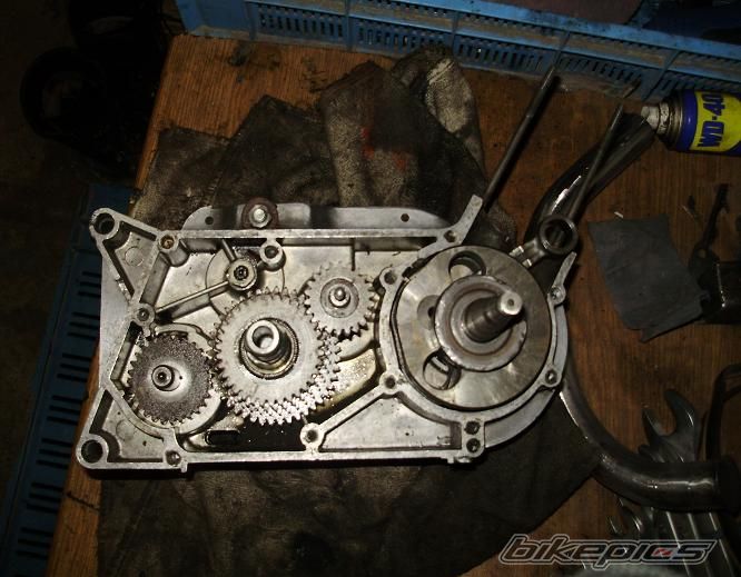    | Picture 1486973 motorcycle photo