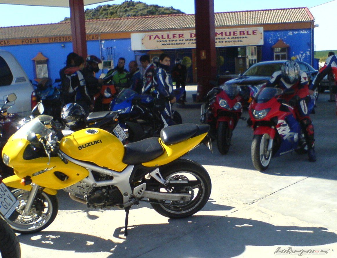 2001 SUZUKI SV 650S | Picture 1487028 motorcycle photo