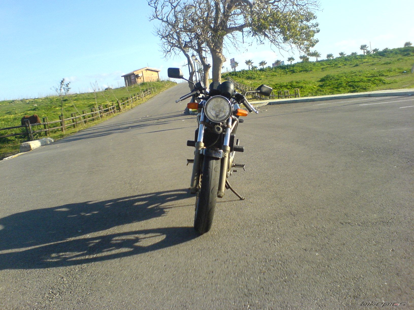 1999 HONDA VTR 250 | Picture 1487036 motorcycle photo