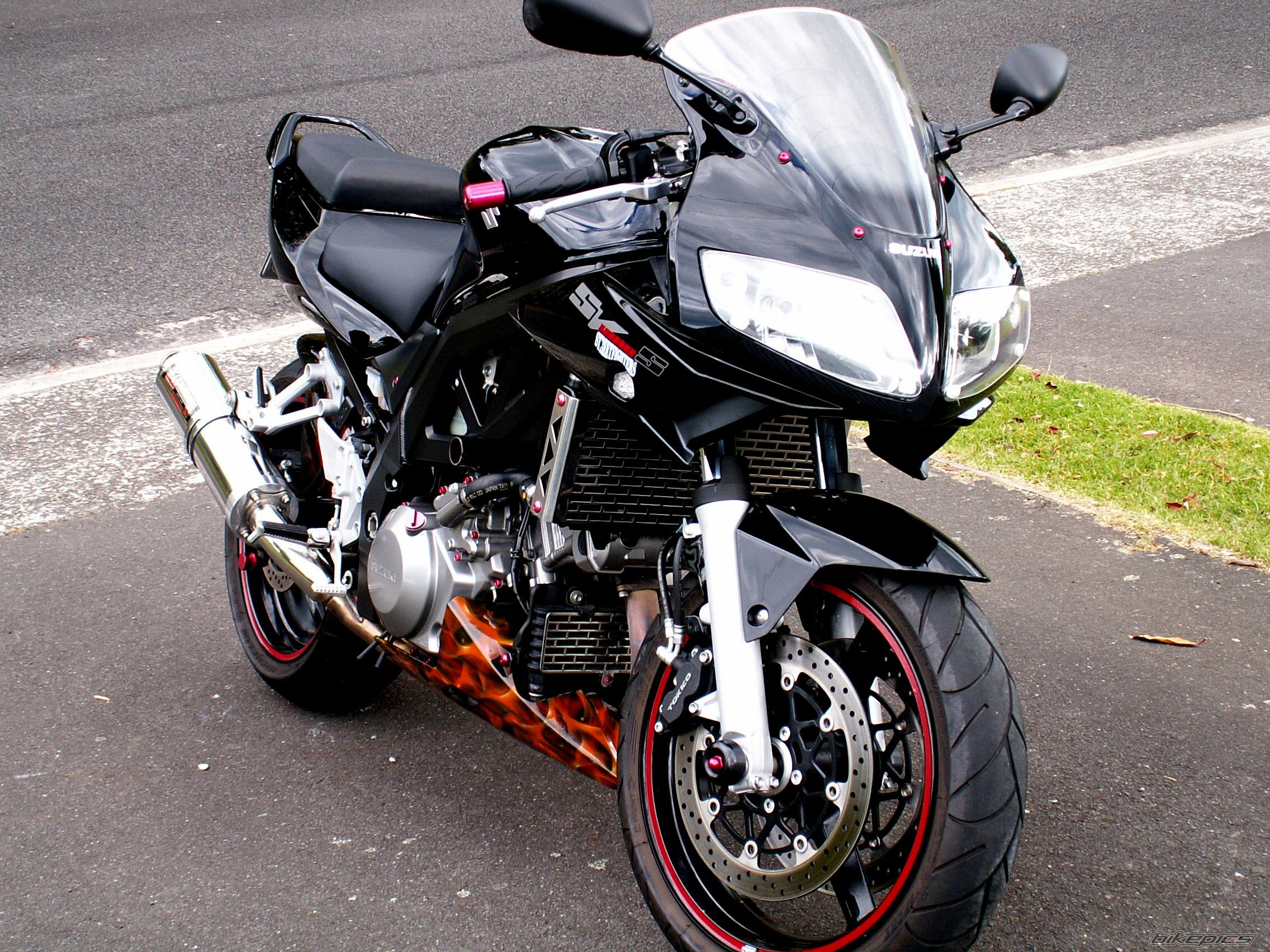 2008 SUZUKI SV 1000 S | Picture 1487986 motorcycle photo
