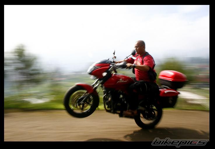 2008 BAJAJ PULSAR 200 | Picture 1488166 motorcycle photo