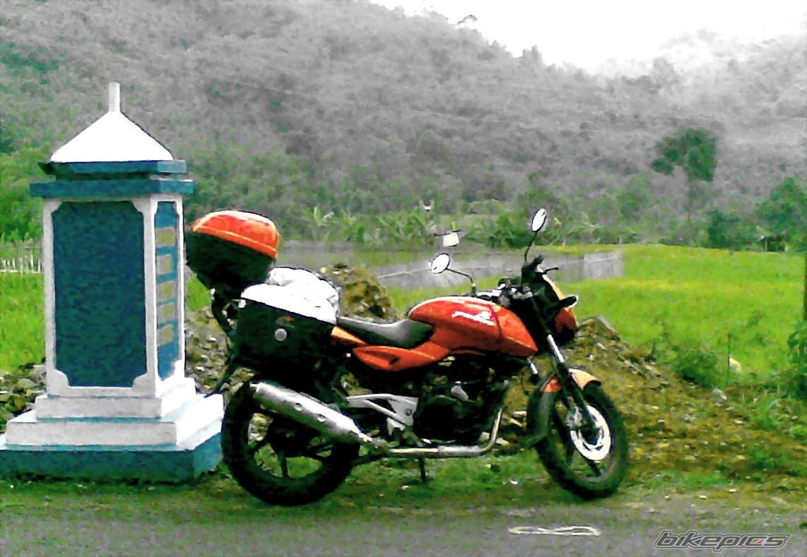 2008 BAJAJ PULSAR 200 | Picture 1488179 motorcycle photo