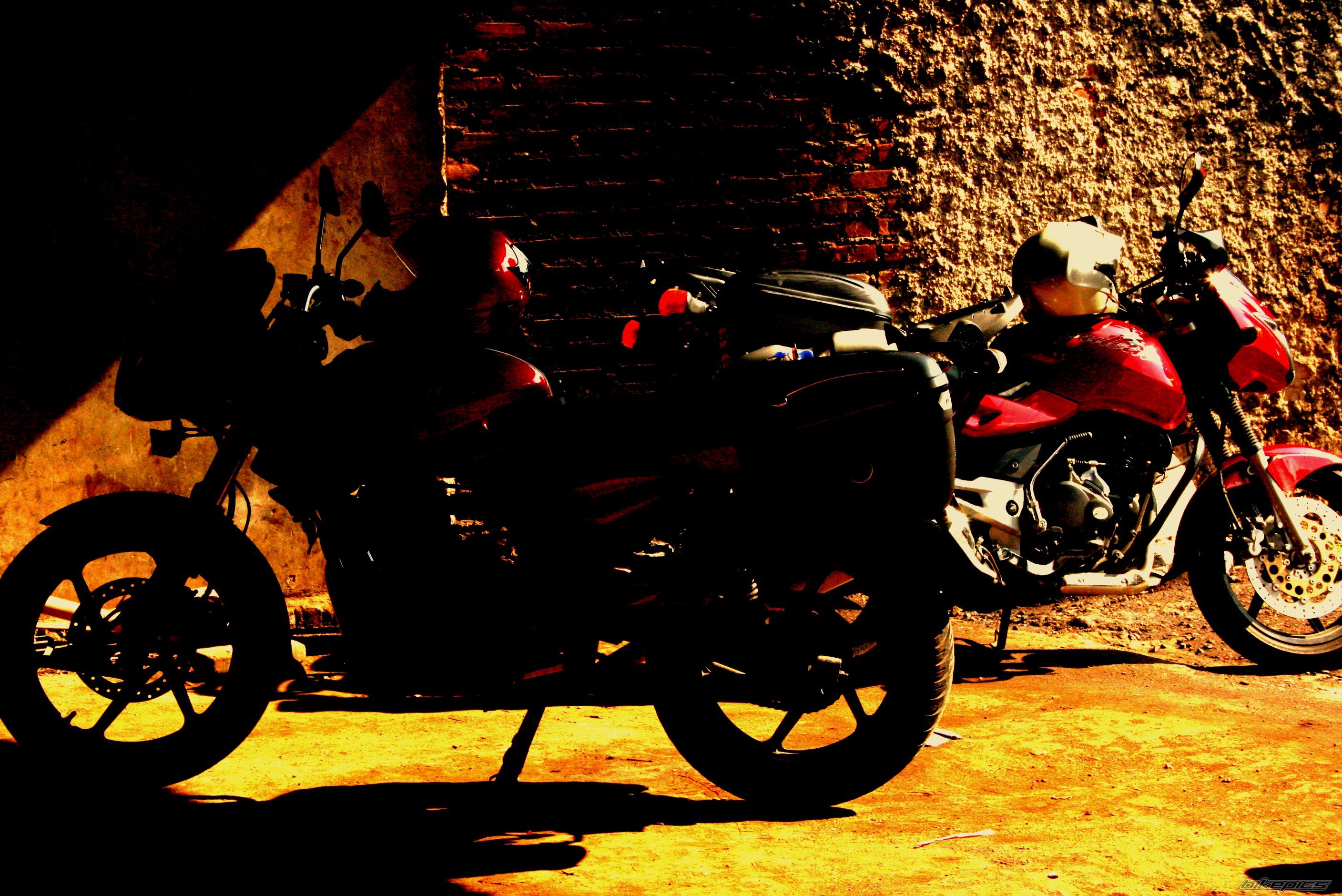 2008 BAJAJ PULSAR 200 | Picture 1488182 motorcycle photo