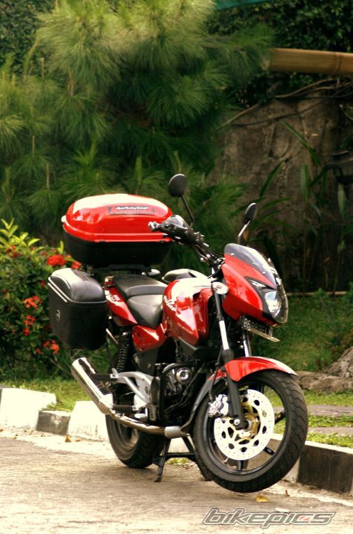 2008 BAJAJ PULSAR 200 | Picture 1488202 motorcycle photo