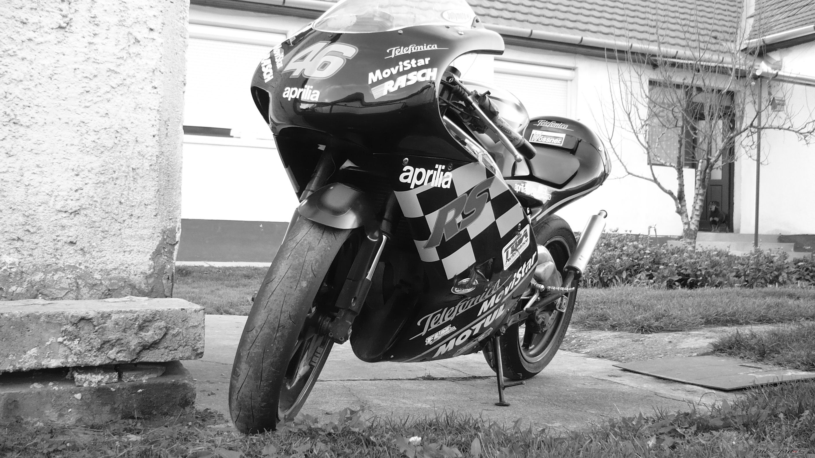 2003 APRILIA RS 125 | Picture 1488311 motorcycle photo