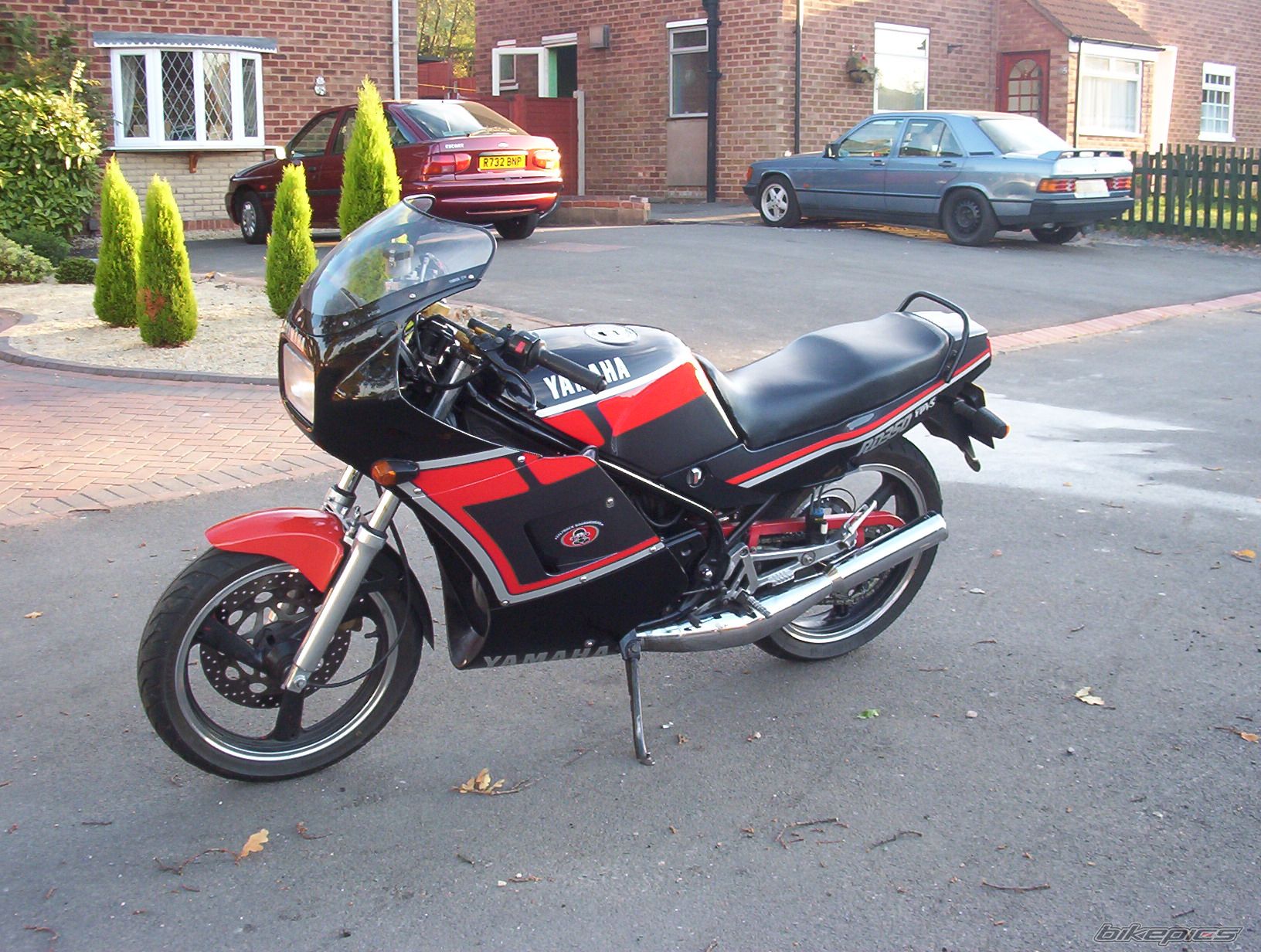 1989 YAMAHA RD350LC | Picture 1488856 motorcycle photo