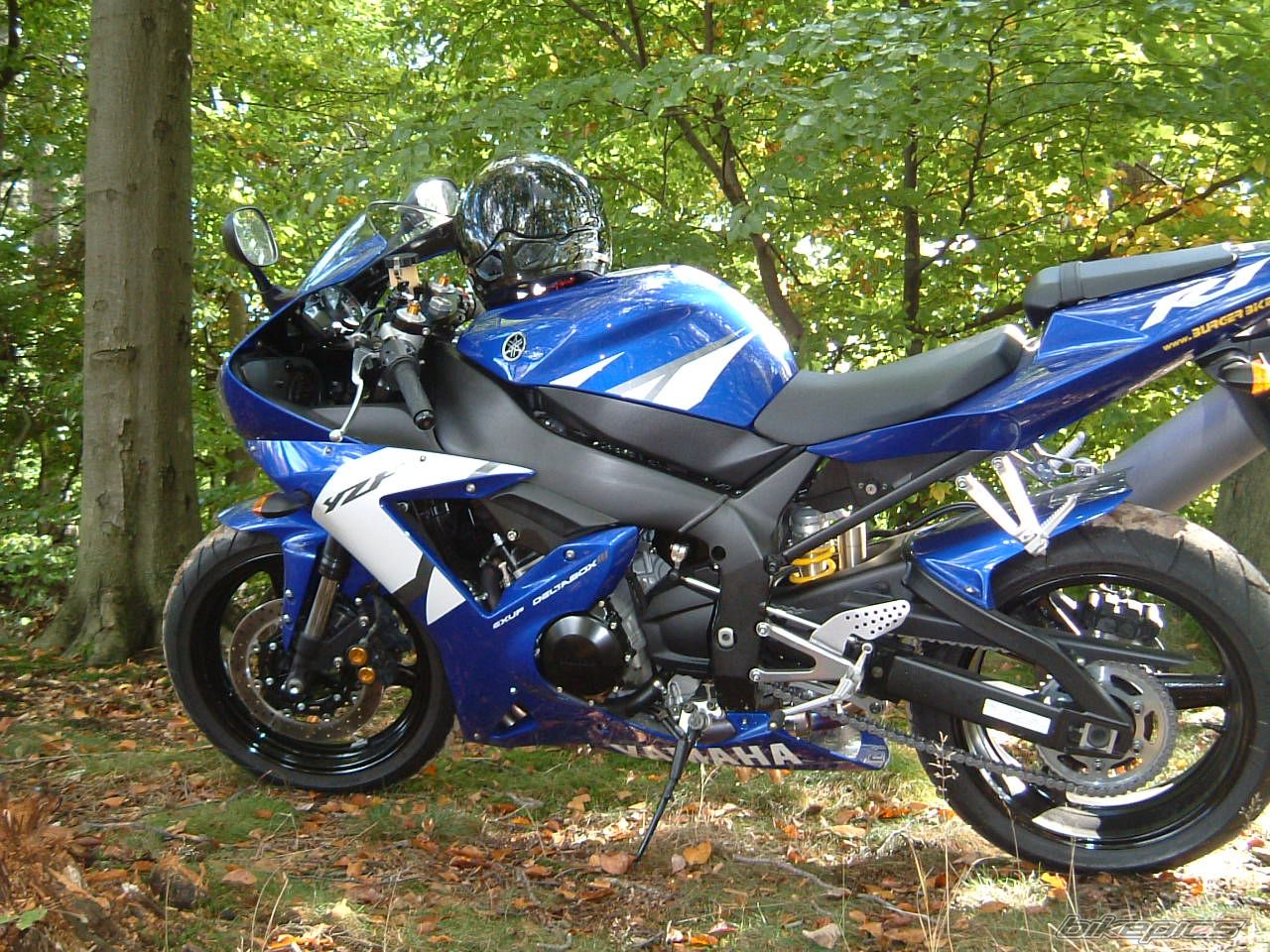 1999 YAMAHA YZF R1 | Picture 1489001 motorcycle photo