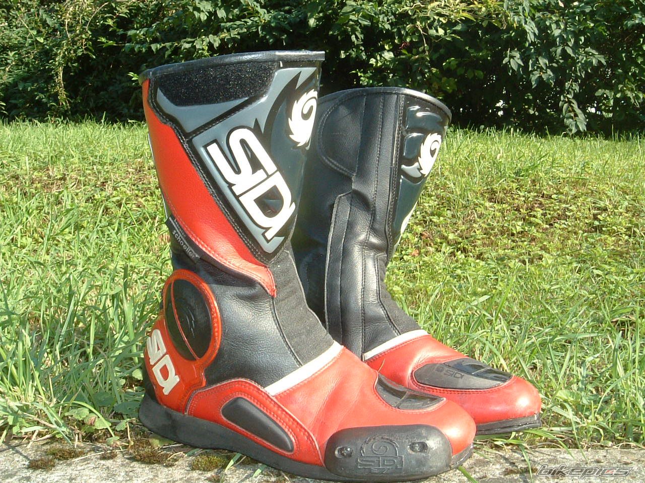    | Picture 1489017 motorcycle photo