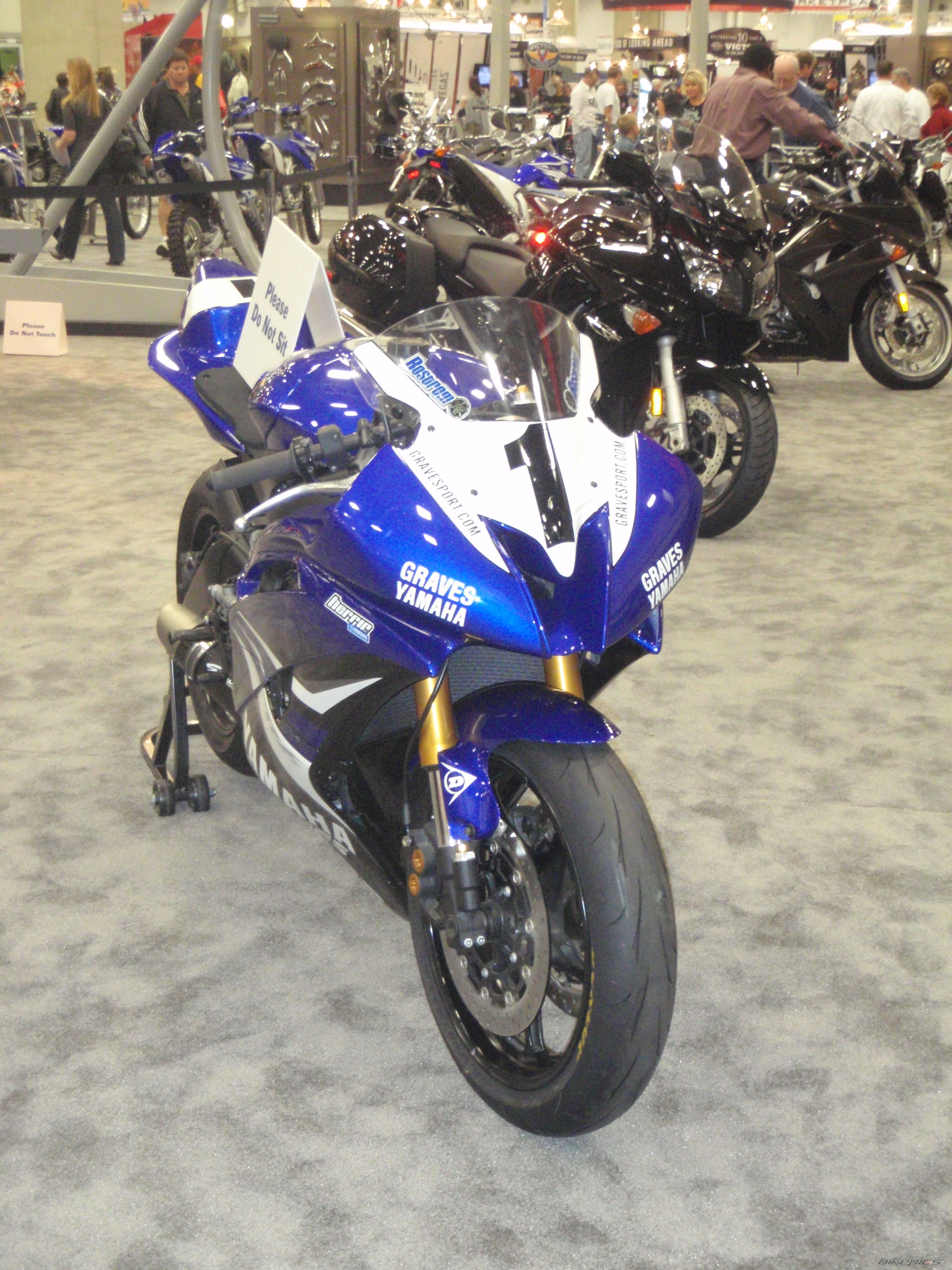 2008 YAMAHA YZF R6 | Picture 1489141 motorcycle photo