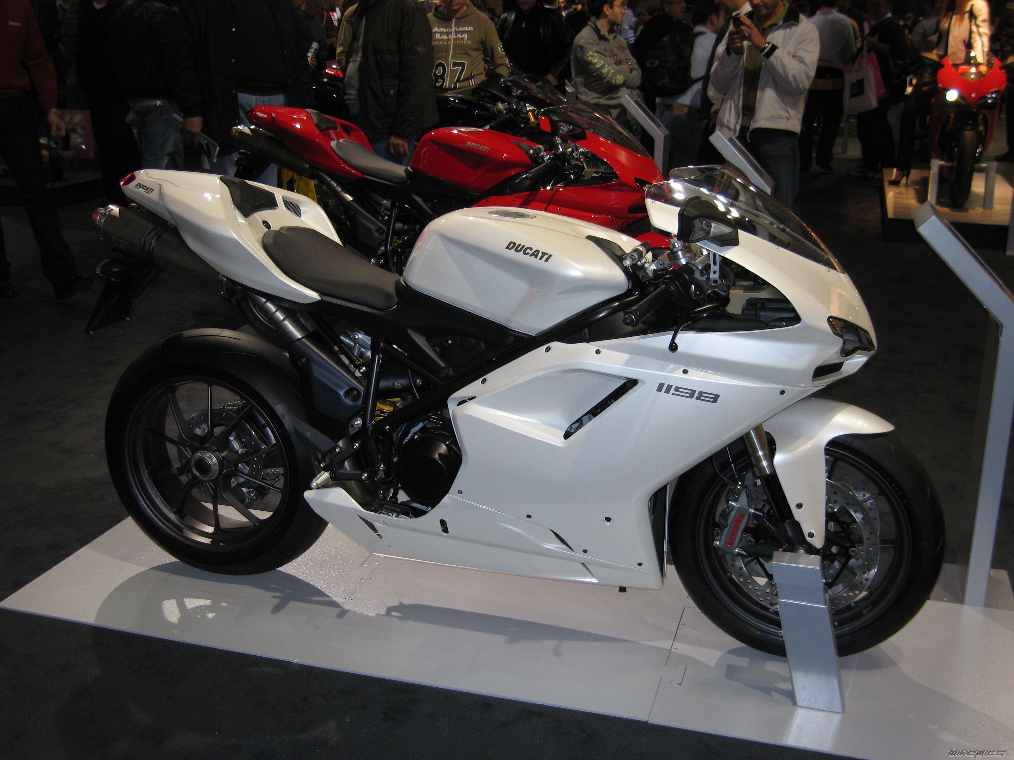 2009 DUCATI 1098 | Picture 1489254 motorcycle photo