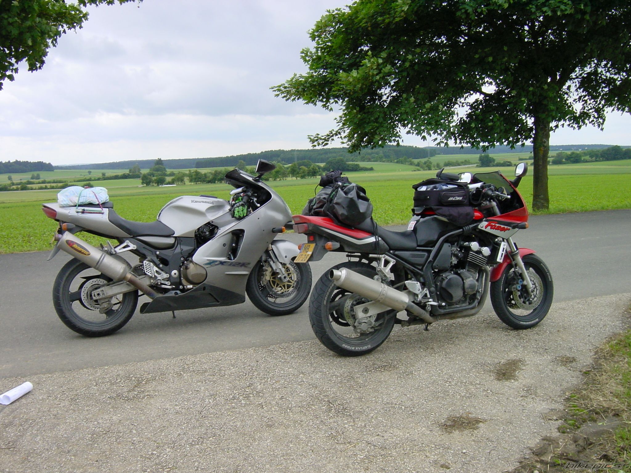 2000 YAMAHA FZS 600 FAZER | Picture 1489539 motorcycle photo