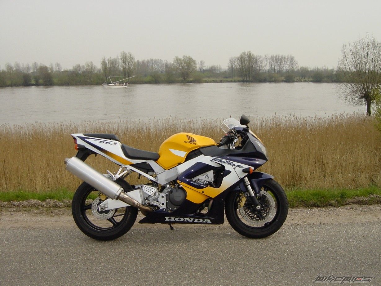 2000 HONDA CBR 900 | Picture 1489564 motorcycle photo