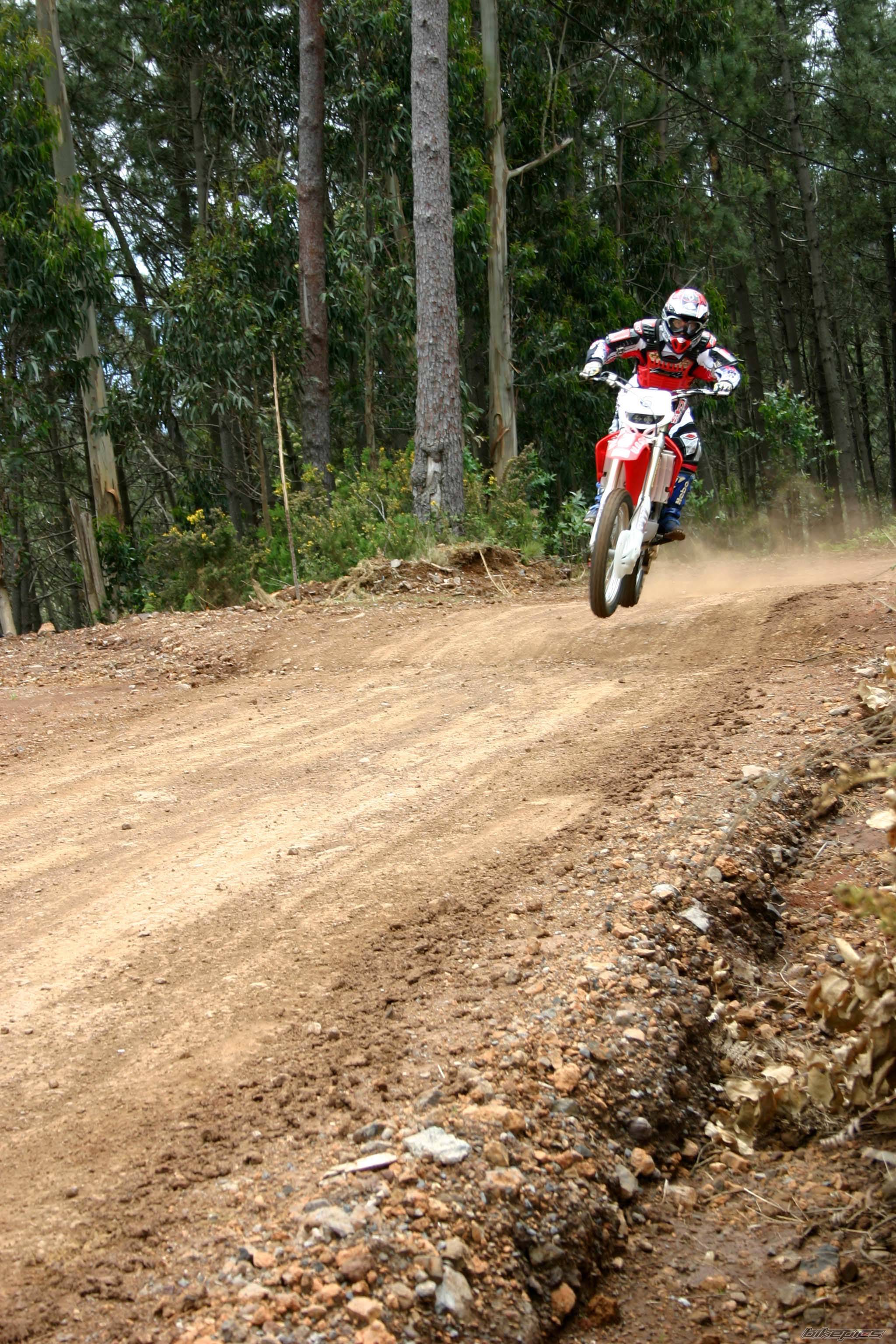 2003 HONDA CRF 450 | Picture 148966 motorcycle photo