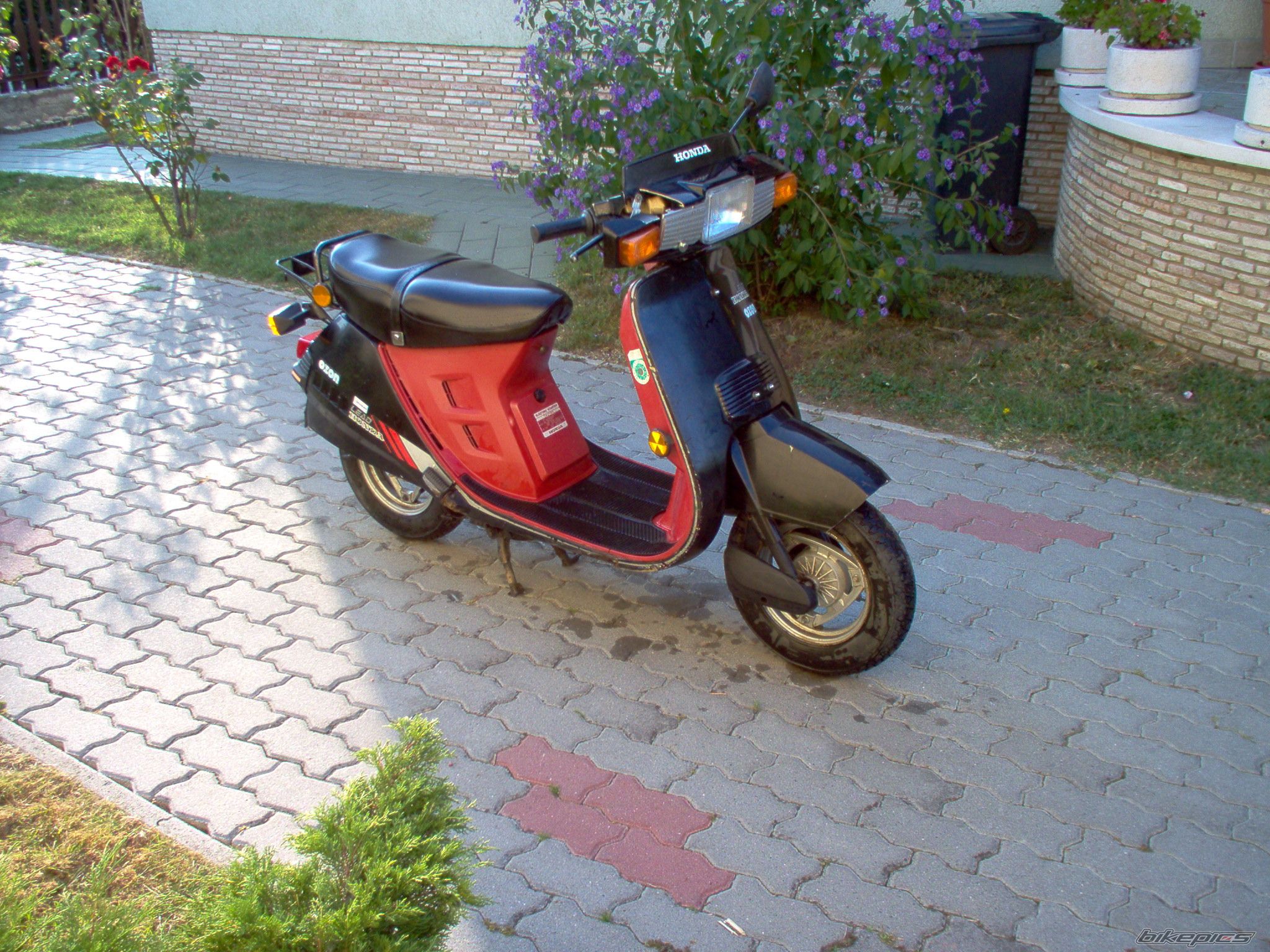 1984 HONDA LEAD 50 | Picture 1489681 motorcycle photo
