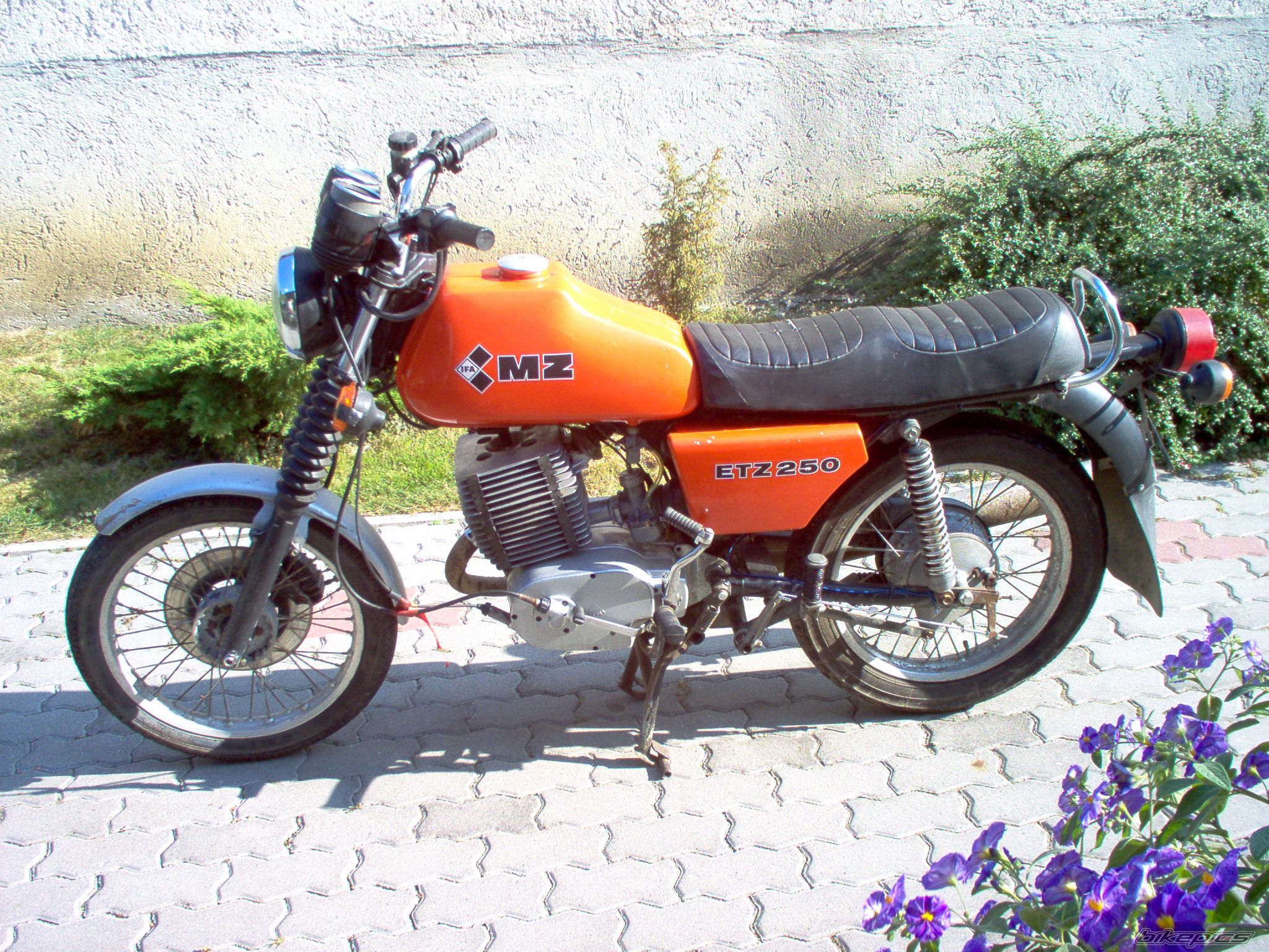 1985 MZ ETZ 250 | Picture 1489707 motorcycle photo