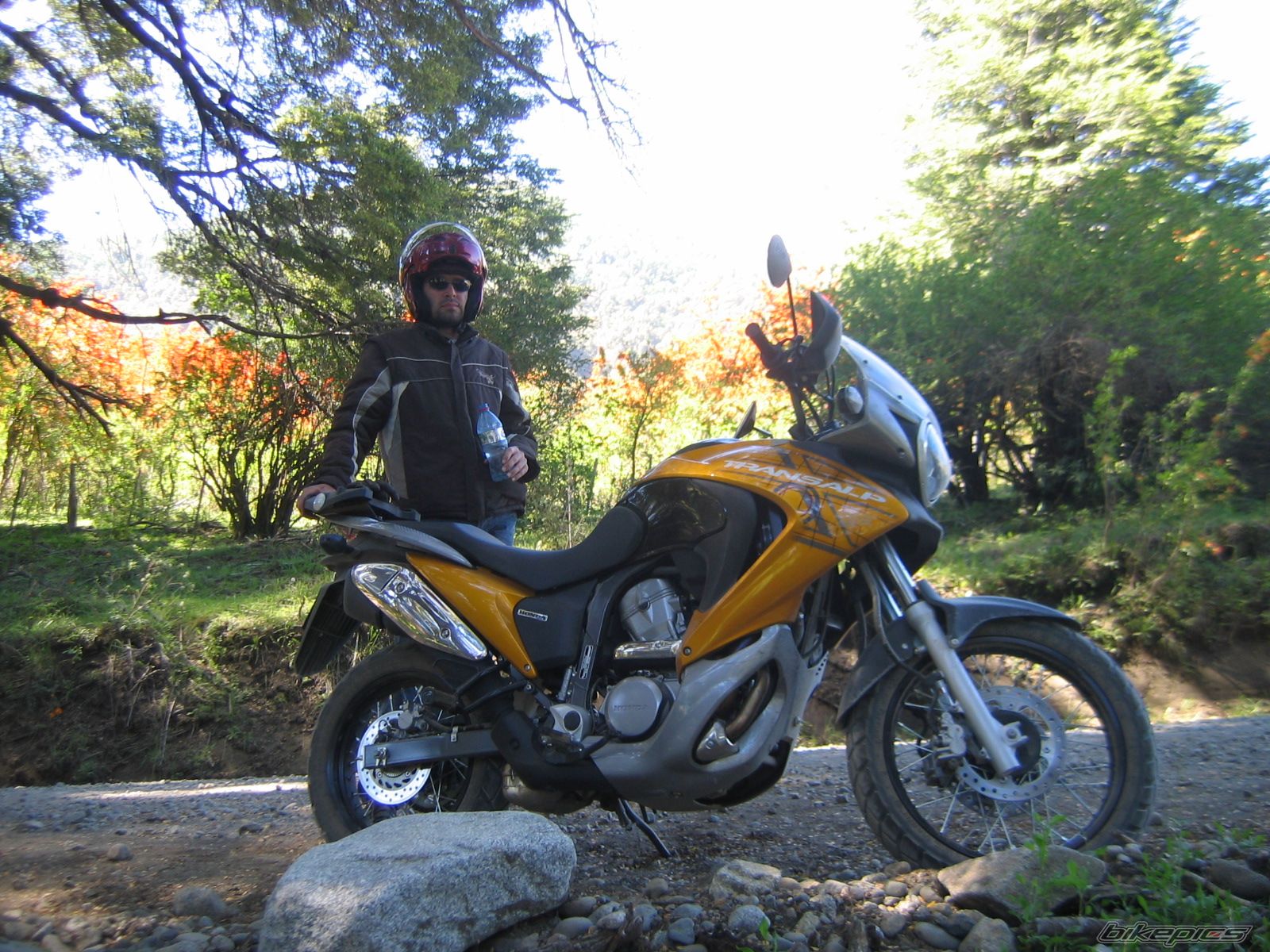 2008 HONDA XL 650V TRANSALP | Picture 1490023 motorcycle photo