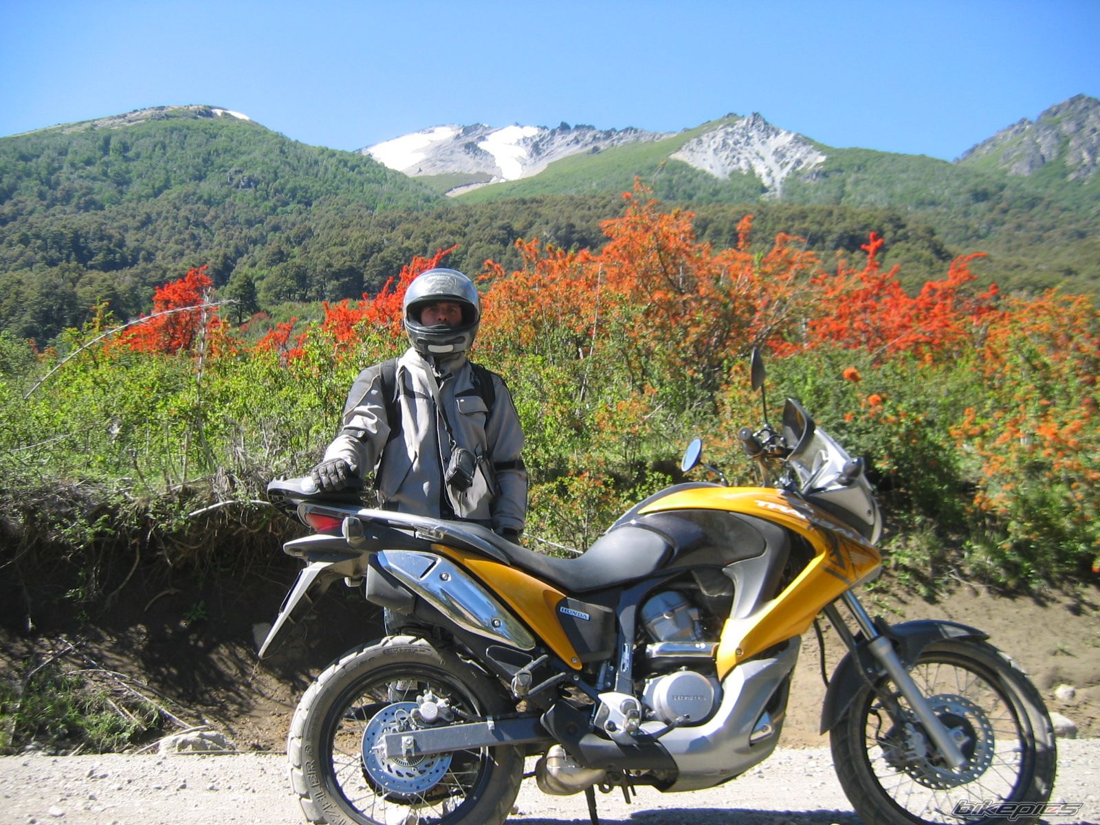 2008 HONDA XL 650V TRANSALP | Picture 1490025 motorcycle photo