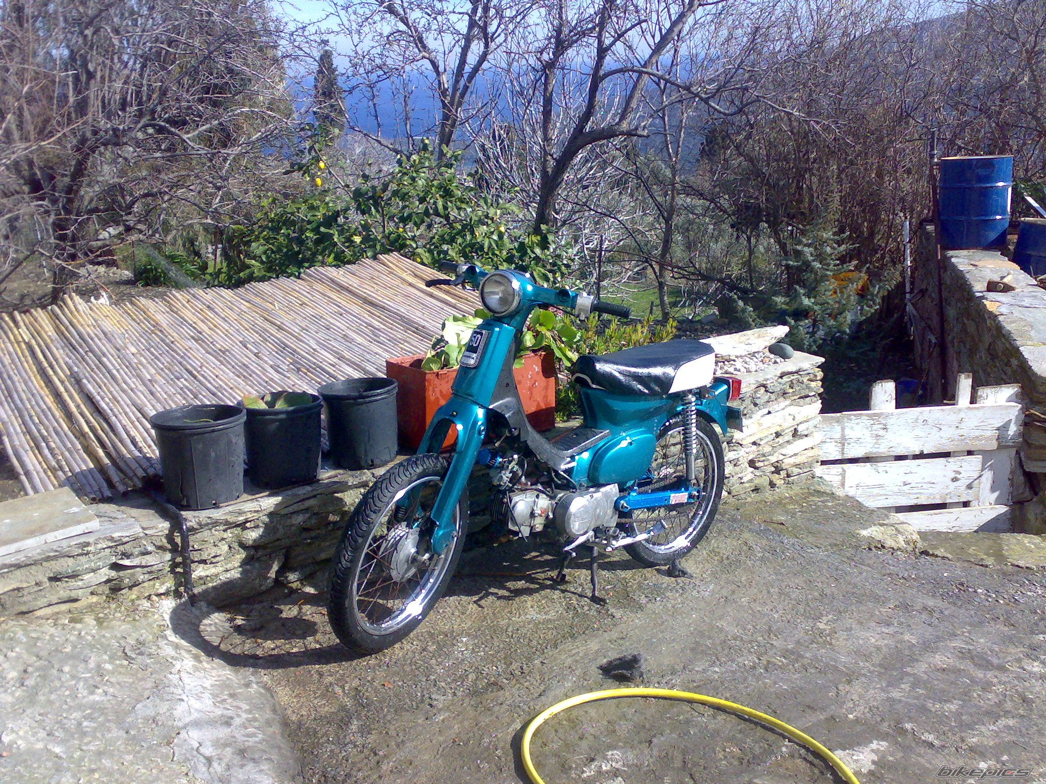 2009 HONDA C 50 | Picture 1490776 motorcycle photo