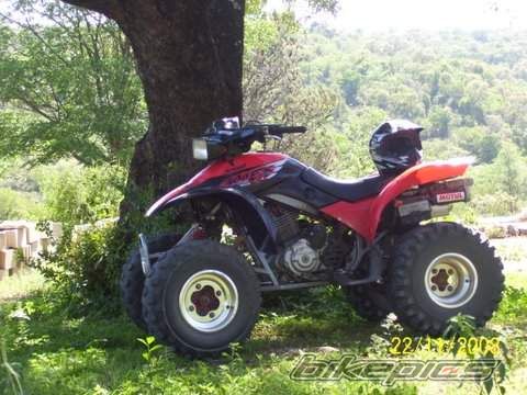 2000 HONDA 300EX | Picture 1491311 motorcycle photo