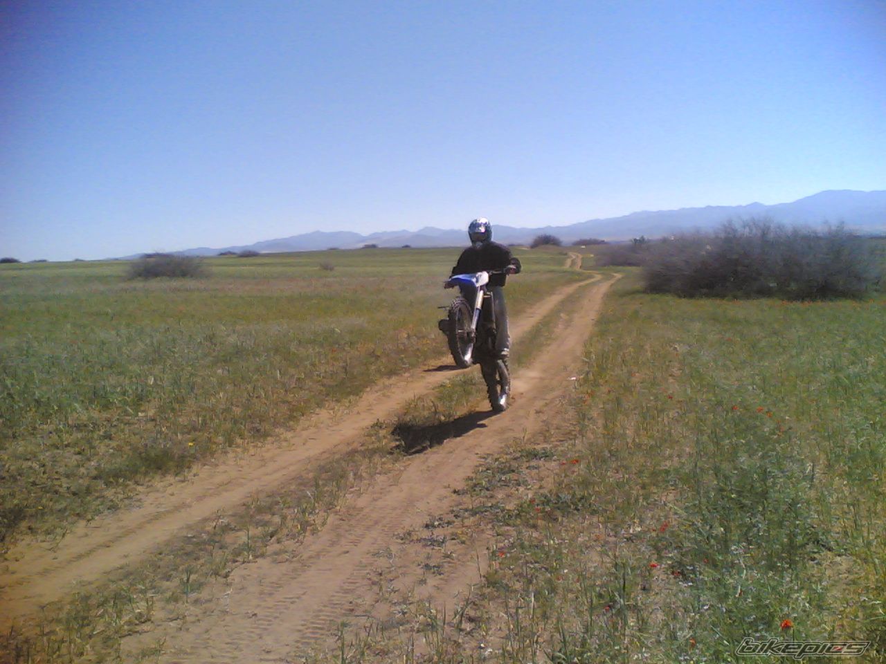 1995 YAMAHA YZ 125 | Picture 1491386 motorcycle photo