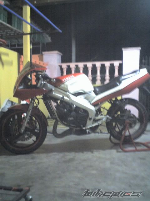 2009 YAMAHA TZM 150 | Picture 1492039 motorcycle photo