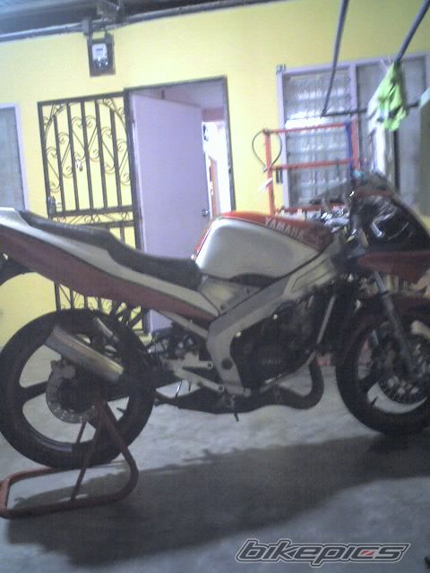 2009 YAMAHA TZM 150 | Picture 1492040 motorcycle photo