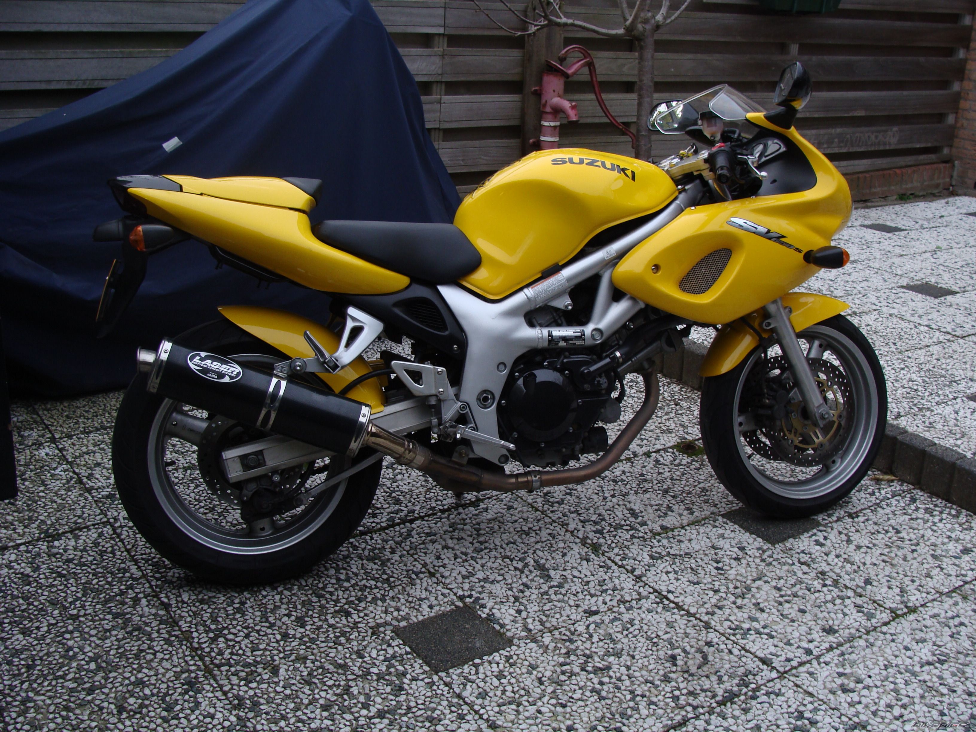 2001 SUZUKI SV 650S | Picture 1492106 motorcycle photo