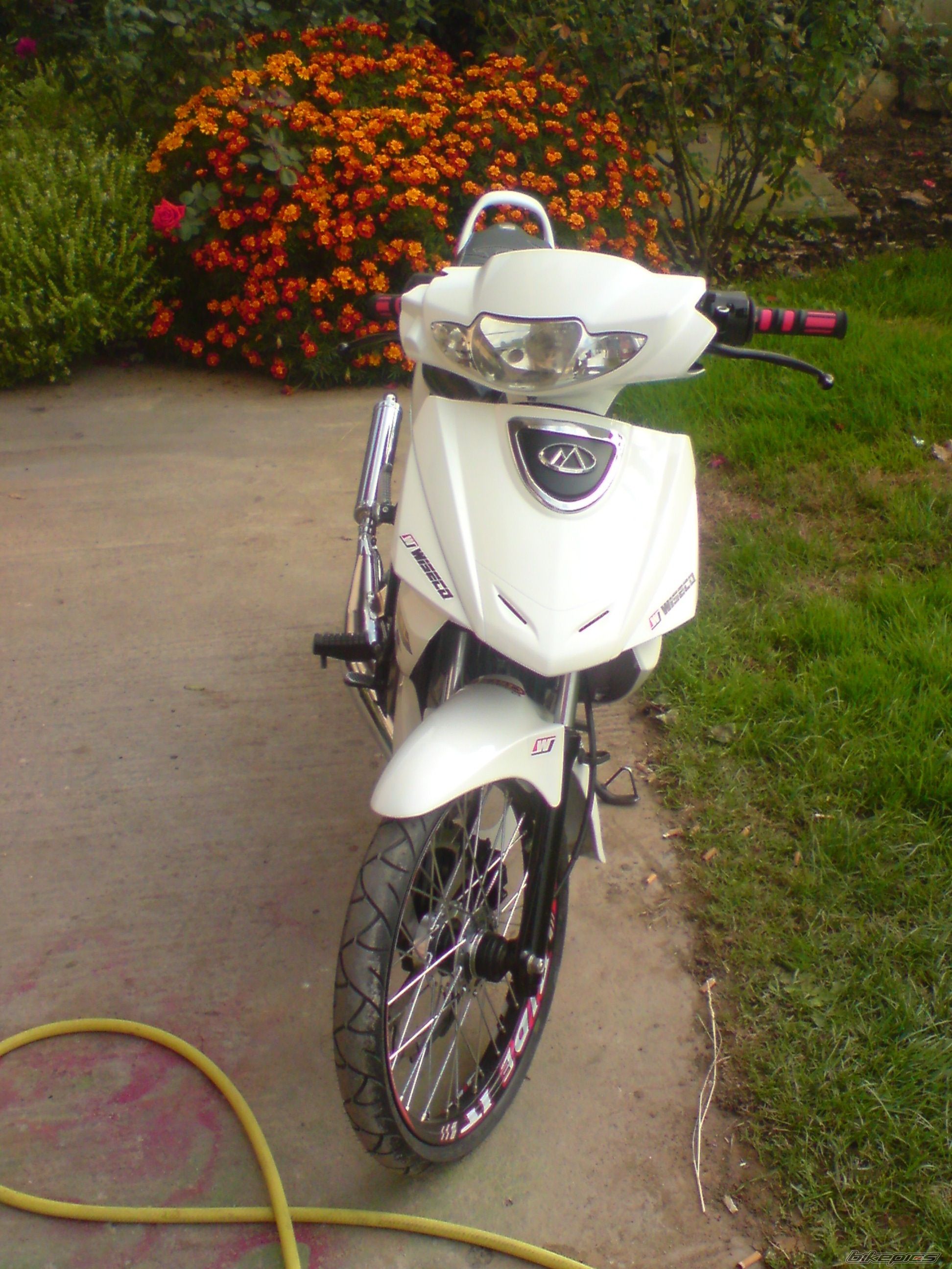2009 MODENAS DYNAMIC 125 | Picture 1492143 motorcycle photo