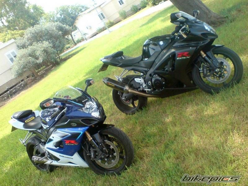 2008 SUZUKI GSX R 1000 | Picture 1492266 motorcycle photo