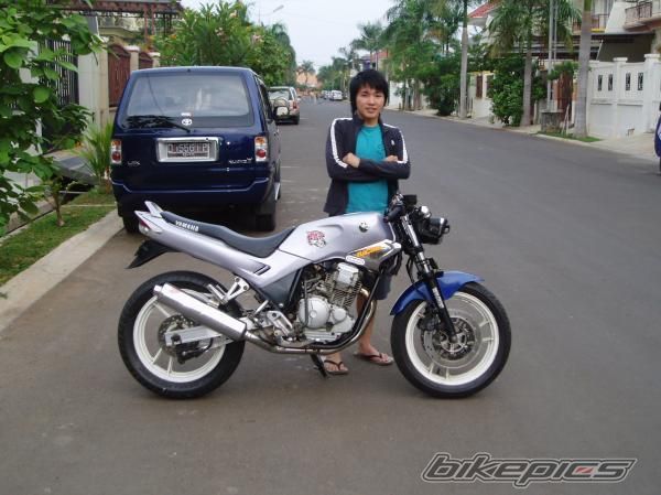2009 YAMAHA SCORPIO 225 | Picture 1492271 motorcycle photo