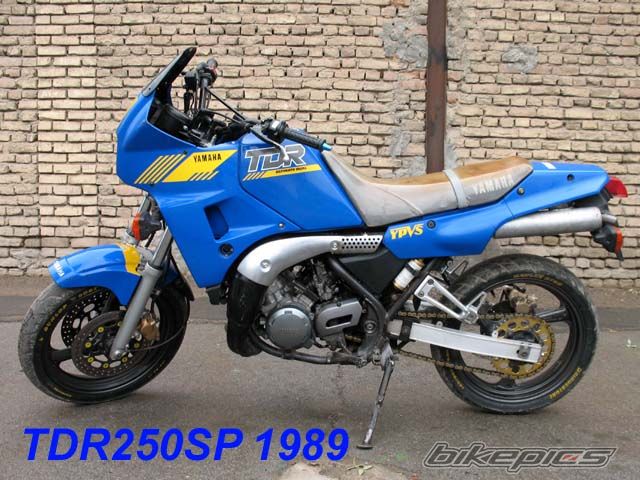 2009 YAMAHA TDR 250 | Picture 1492621 motorcycle photo