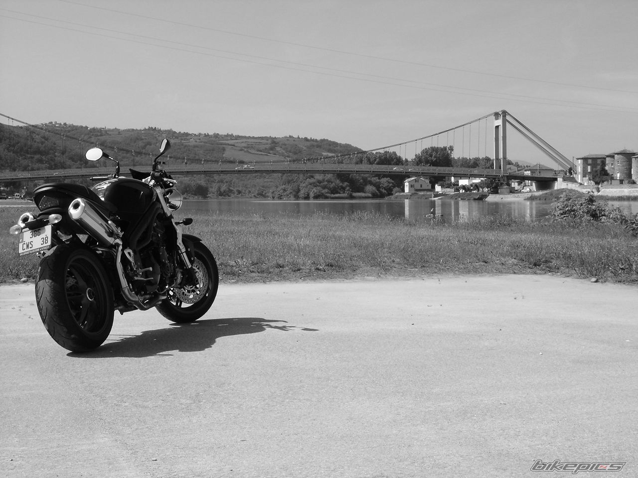 2005 TRIUMPH SPEED TRIPLE | Picture 1493053 motorcycle photo