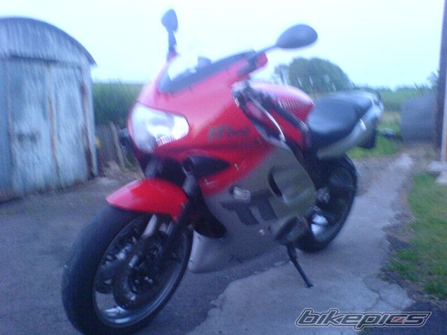 2000 TRIUMPH TT 600 | Picture 1493671 motorcycle photo