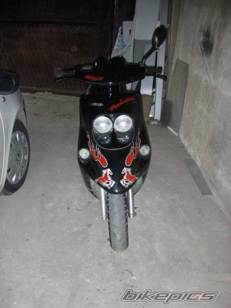 1997 MALAGUTI F 10 50 | Picture 1493839 motorcycle photo