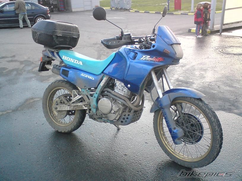 1992 HONDA NX 650 DOMINATOR | Picture 1494299 motorcycle photo