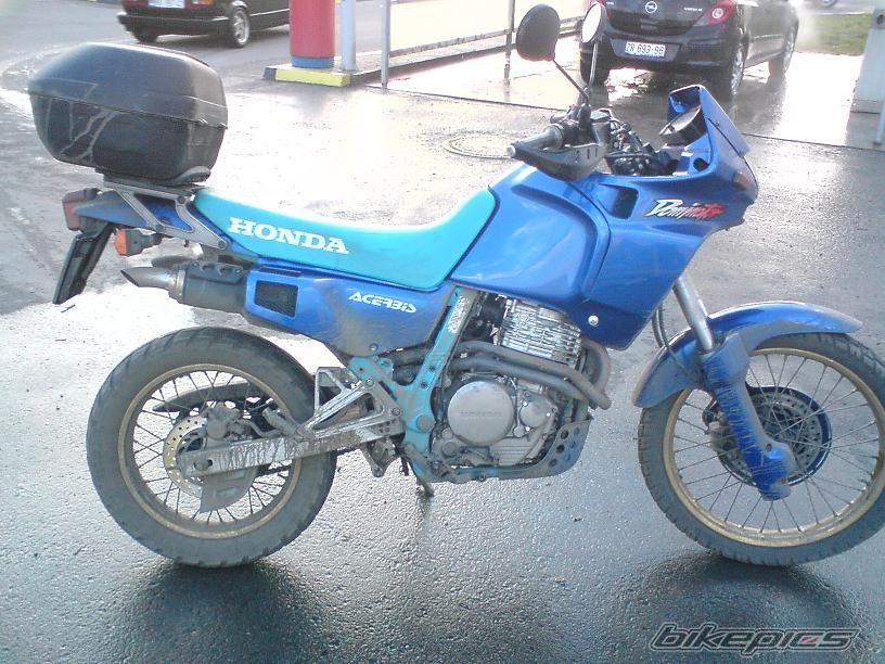 1992 HONDA NX 650 DOMINATOR | Picture 1494300 motorcycle photo
