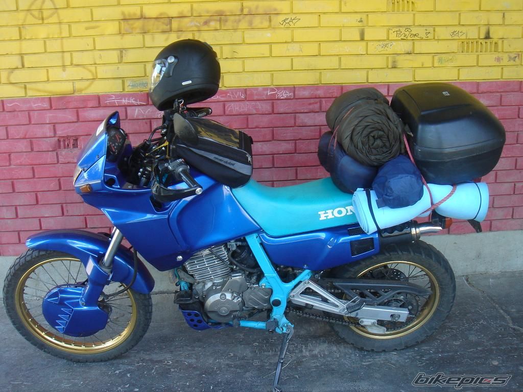 1992 HONDA NX 650 DOMINATOR | Picture 1494301 motorcycle photo