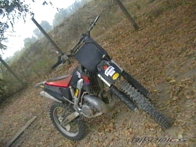 2001 HONDA CR 250 | Picture 1495006 motorcycle photo