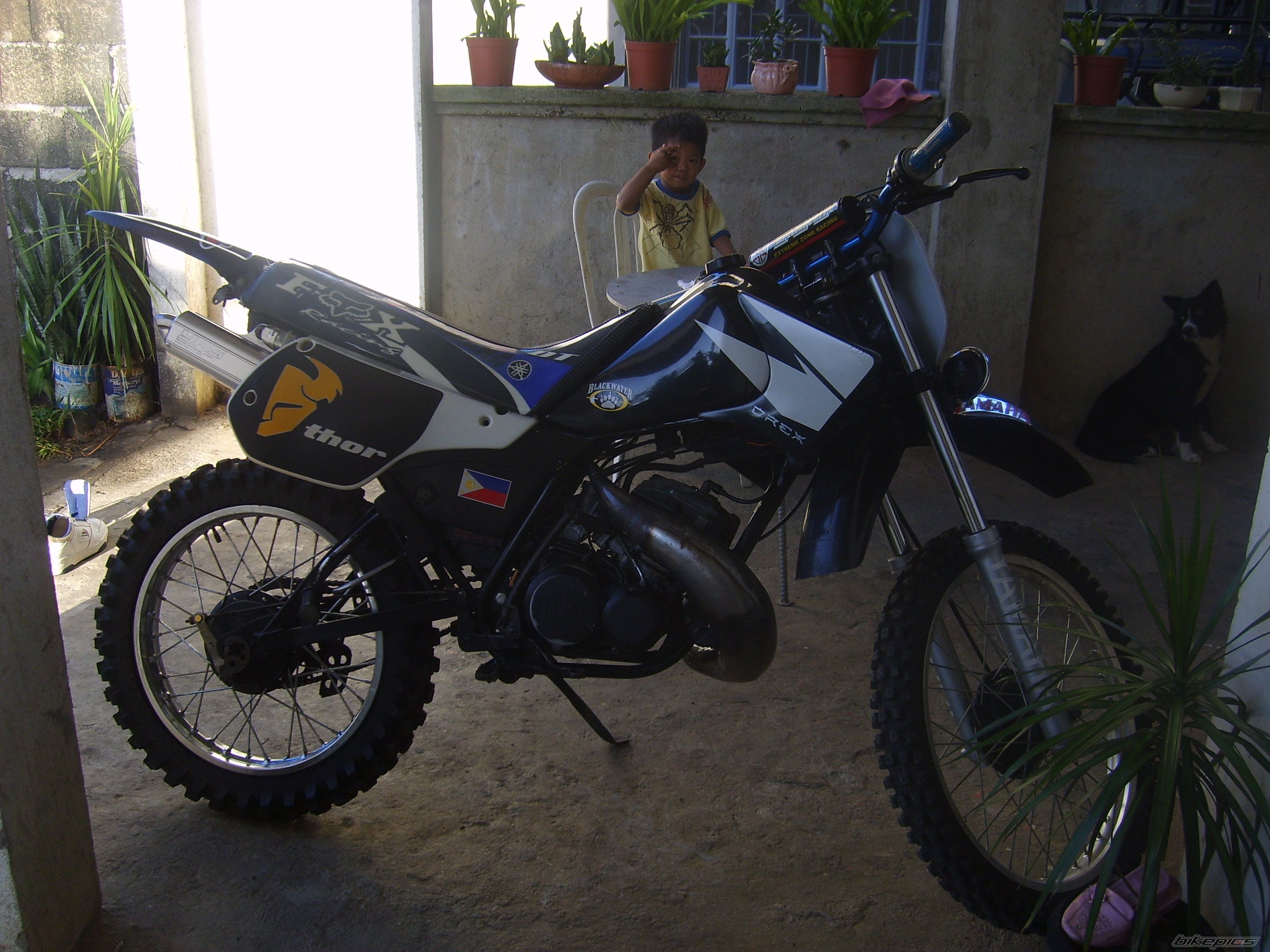2009 YAMAHA DT 125 | Picture 1495241 motorcycle photo