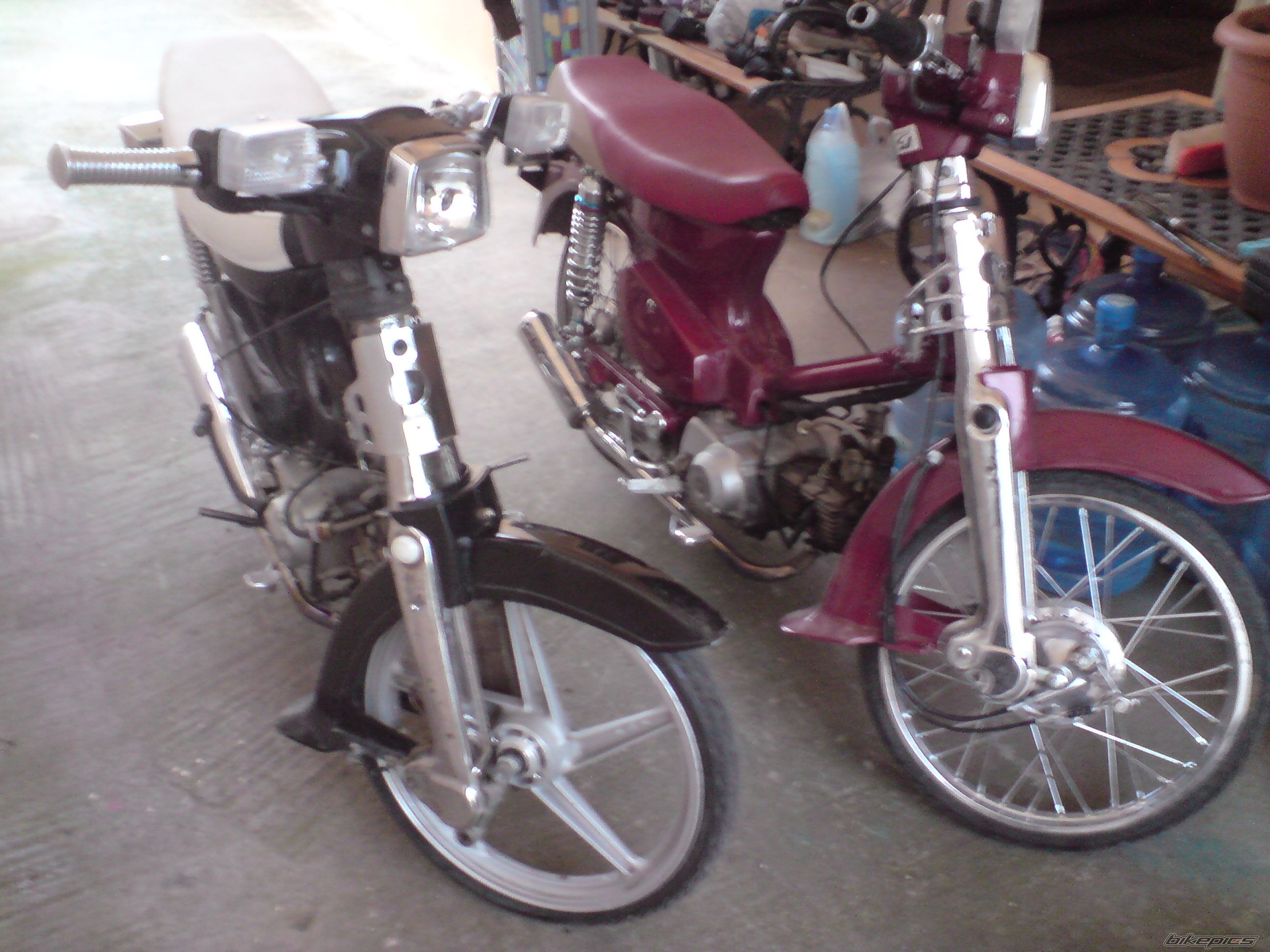 2009 HONDA GLX 50 | Picture 1495377 motorcycle photo