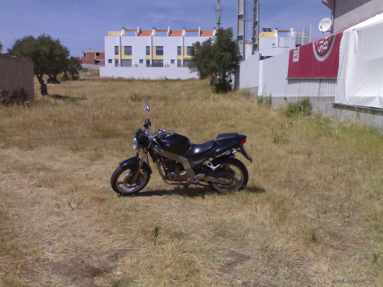 2004 DAELIM ROADWIN | Picture 1495385 motorcycle photo