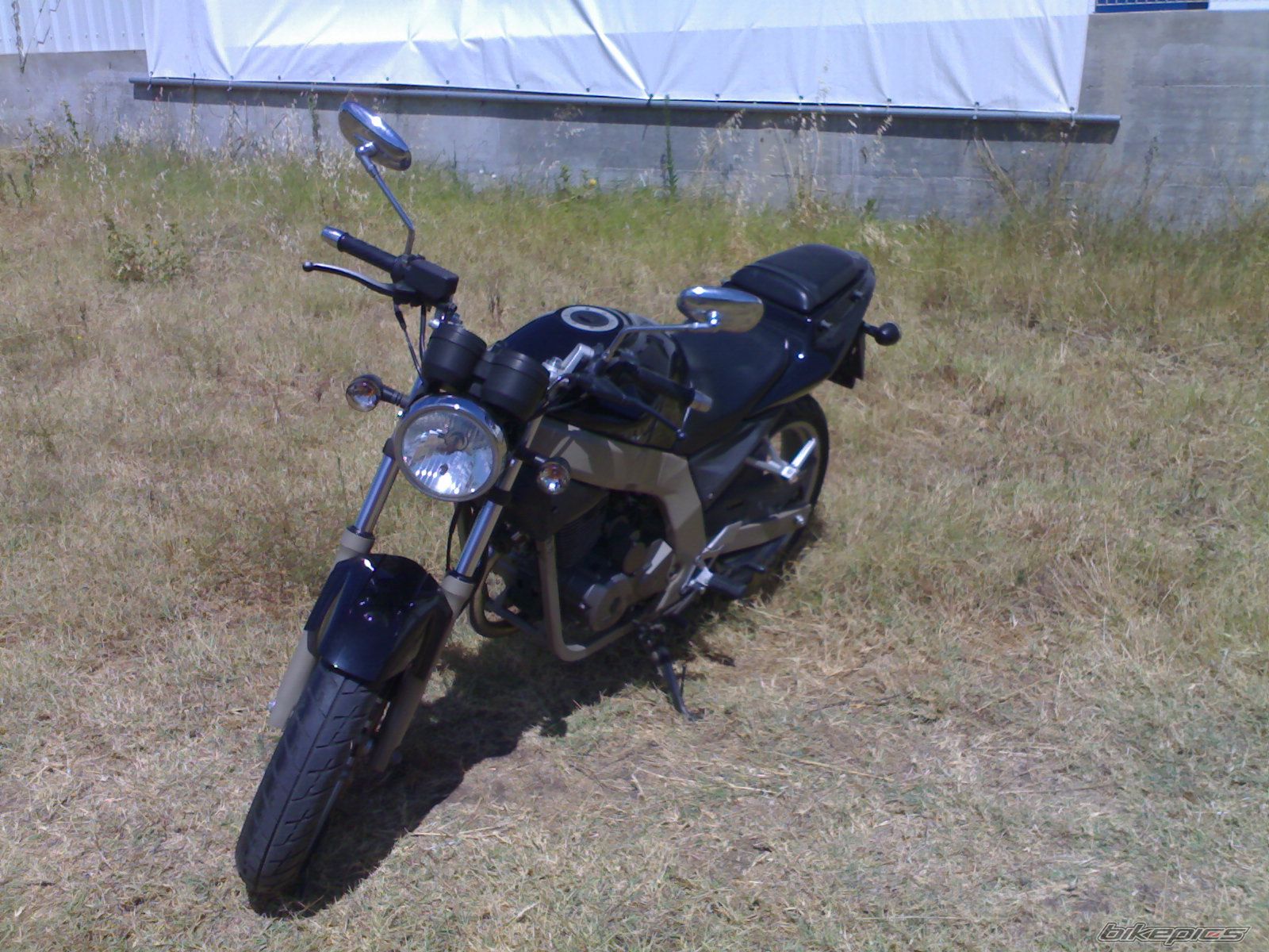 2004 DAELIM ROADWIN | Picture 1495387 motorcycle photo