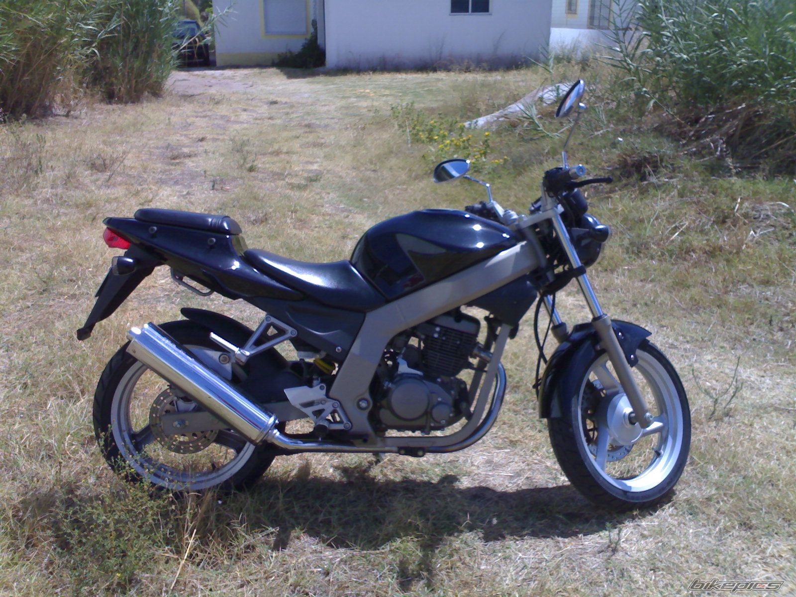 2004 DAELIM ROADWIN | Picture 1495394 motorcycle photo
