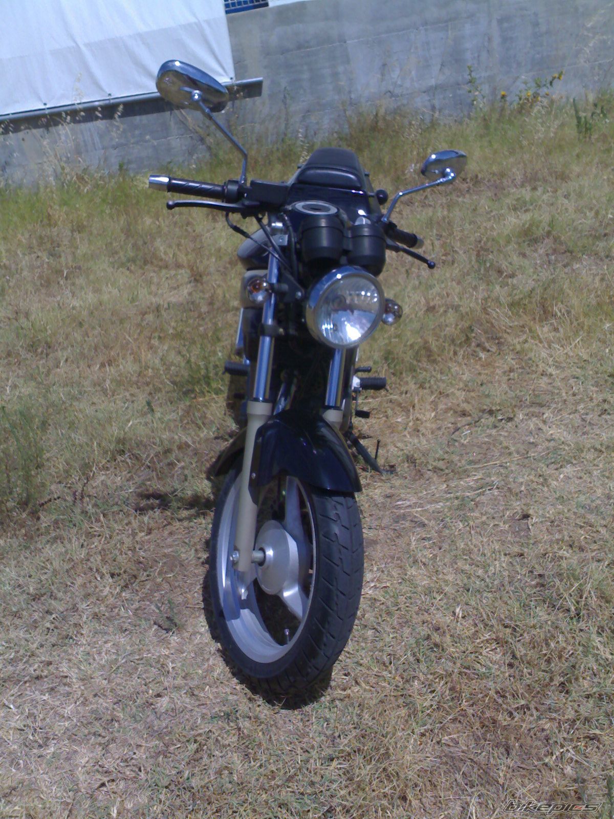 2004 DAELIM ROADWIN | Picture 1495401 motorcycle photo