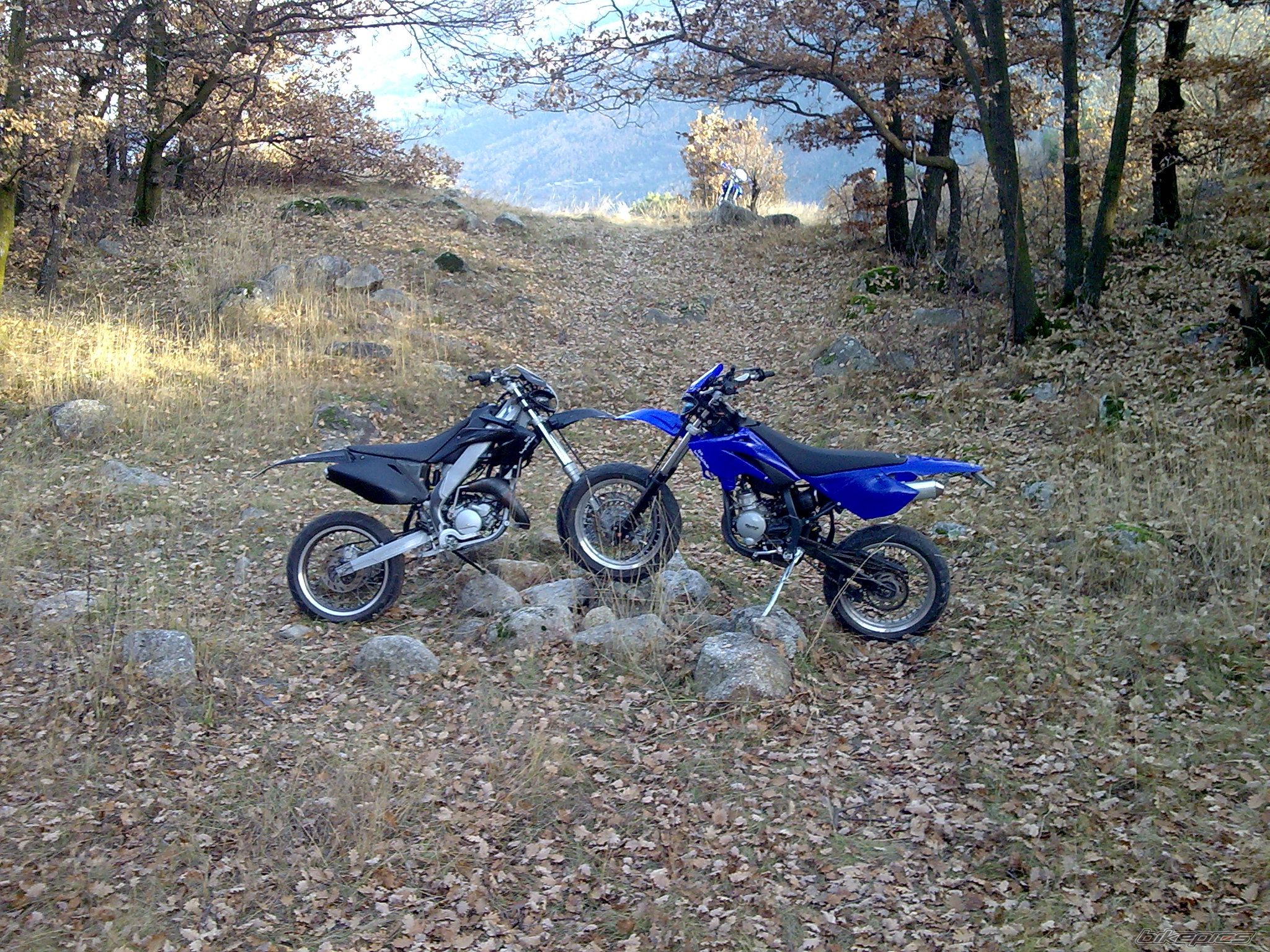2006 BETA RR 50 | Picture 1495471 motorcycle photo